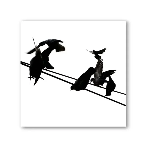 Birds on a Wire Black & White Photo Art Print Set of 4 - Image 5