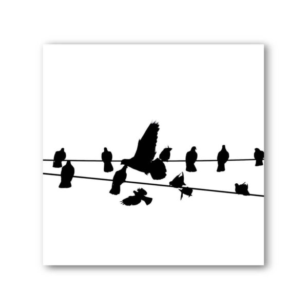 Birds on a Wire Black & White Photo Art Print Set of 4 - Image 4