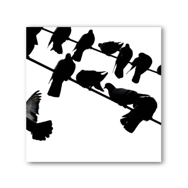 Birds on a Wire Black & White Photo Art Print Set of 4 - Image 8