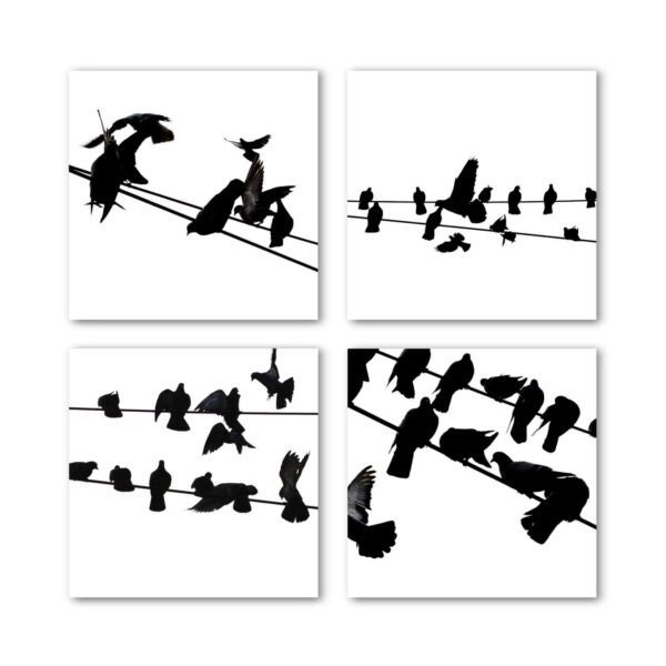 Birds on a Wire Black & White Photo Art Print Set of 4 - Image 7