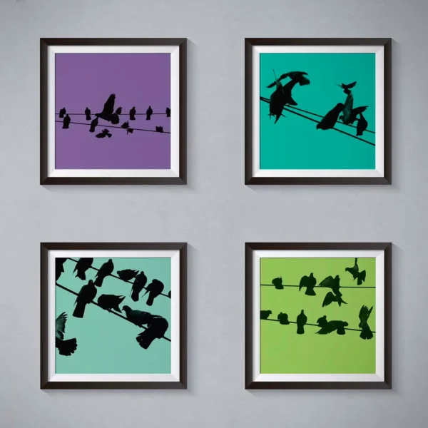 Birds on a Wire Colour 1 Photo Art Print Set of 4