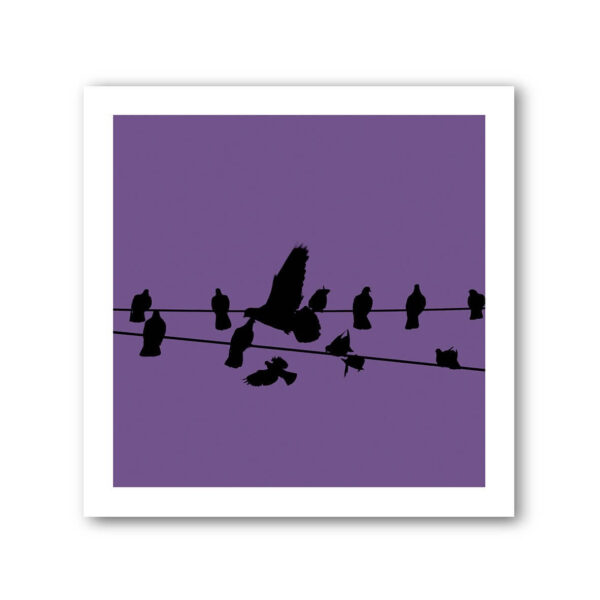 Birds on a Wire Colour 2 Photo Art Print Set of 4 - Image 8