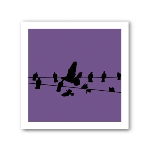 Birds on a Wire Colour 2 Photo Art Print Set of 4 - Image 7