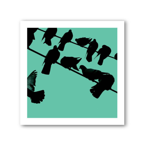 Birds on a Wire Colour 2 Photo Art Print Set of 4 - Image 7