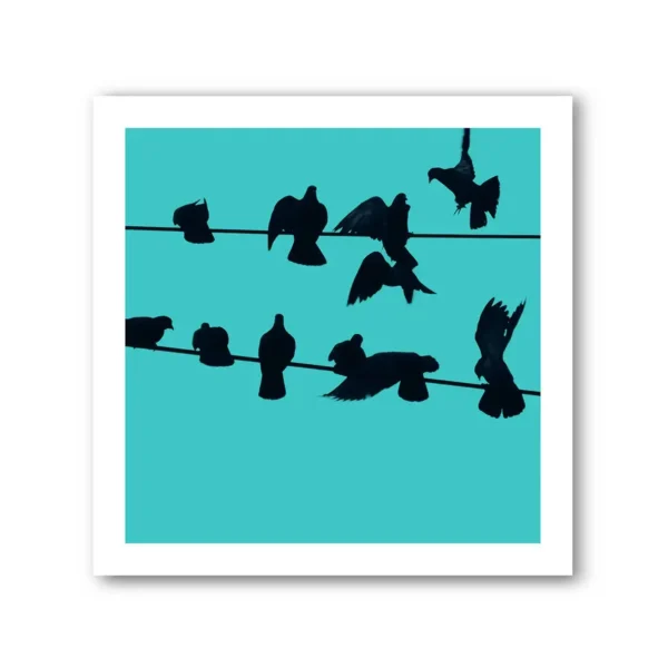 Birds on a Wire Colour 2 Photo Art Print Set of 4 - Image 5