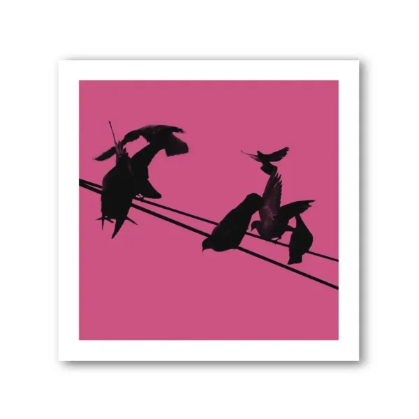 Birds on a Wire Colour 2 Photo Art Print Set of 4 - Image 6
