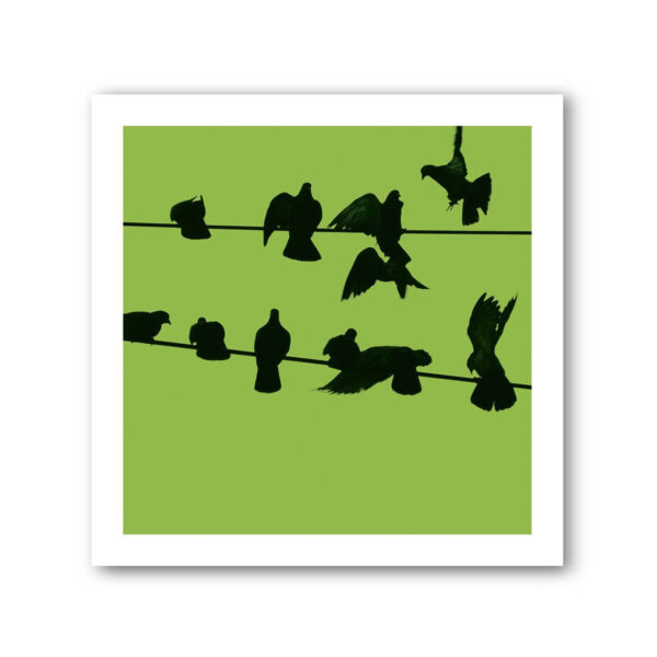 Birds on a Wire Colour 2 Photo Art Print Set of 4 - Image 6