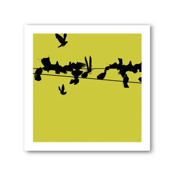 Birds on a Wire Colour 2 Photo Art Print Set of 4 - Image 4