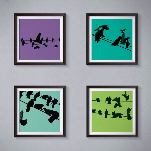 Birds on a Wire Colour 2 Photo Art Print Set of 4 - Image 4