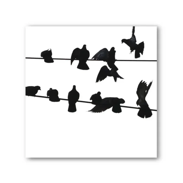 Birds on a Wire Photo Art Print Set of 4 - Image 10