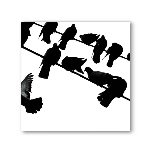 Birds on a Wire Photo Art Print Set of 4 - Image 8