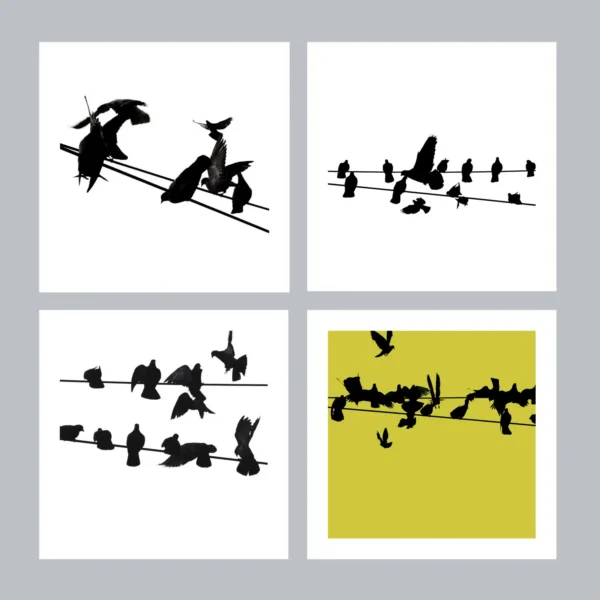 Birds on a Wire Photo Art Print Set of 4 - Image 3